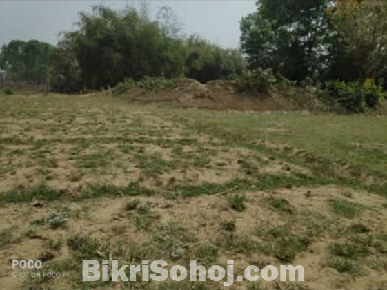 Land/জমি